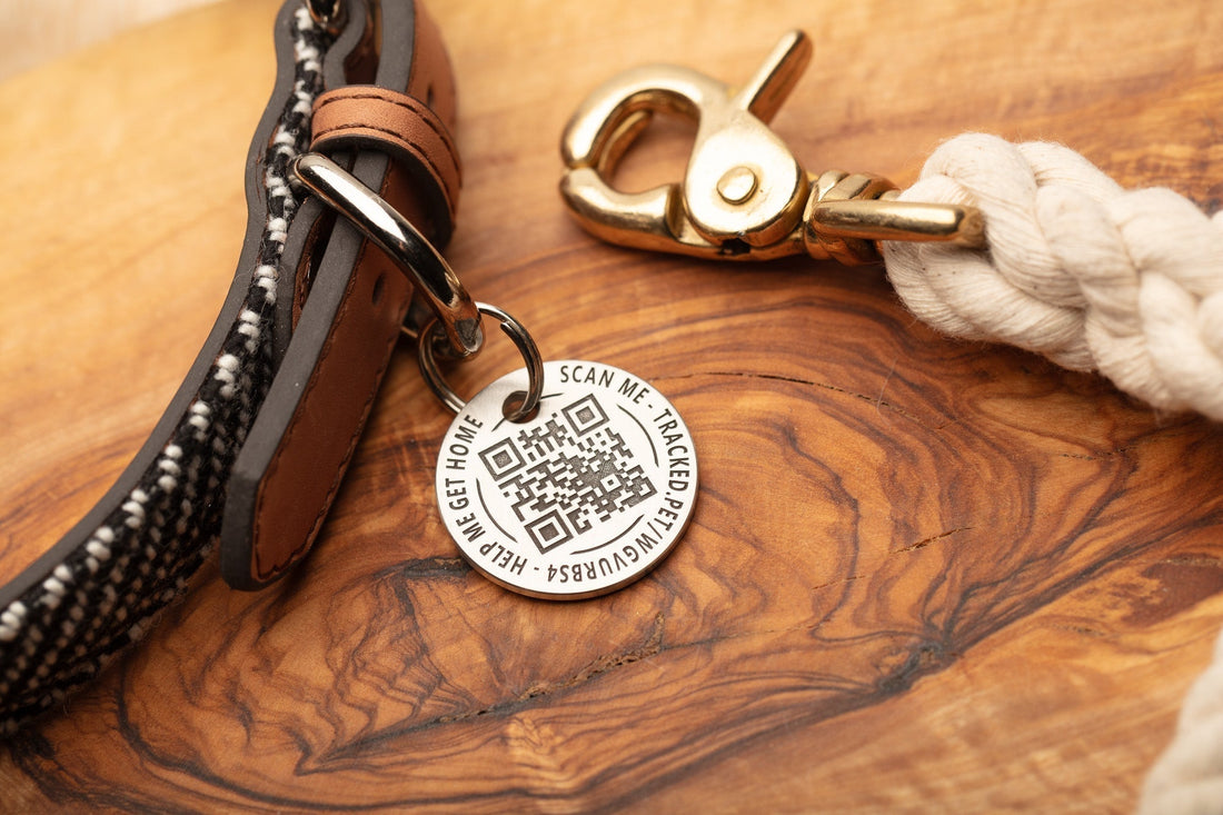 Introducing Tracked.Pet: The Smartest Way to Keep Your Dog Safe