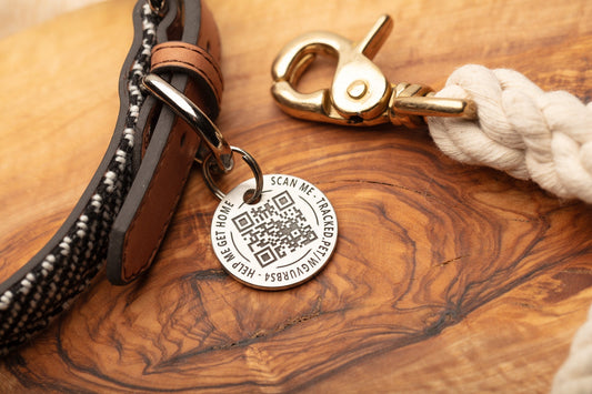 Introducing Tracked.Pet: The Smartest Way to Keep Your Dog Safe