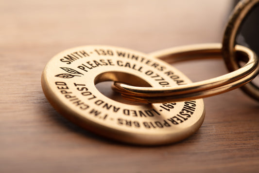 New 35mm XL Ring Pet ID Tags - For big dogs!