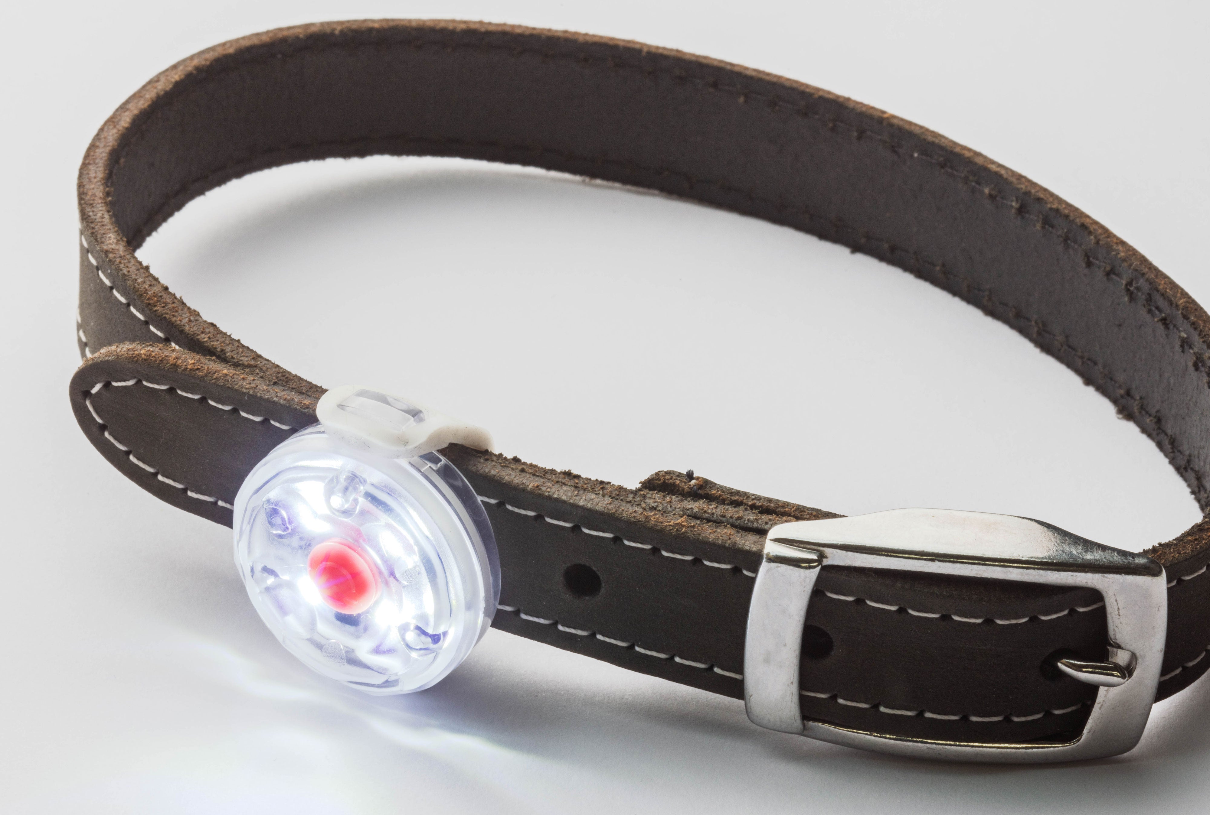 Rechargeable Safety Pet Collar Light – UKR Designs