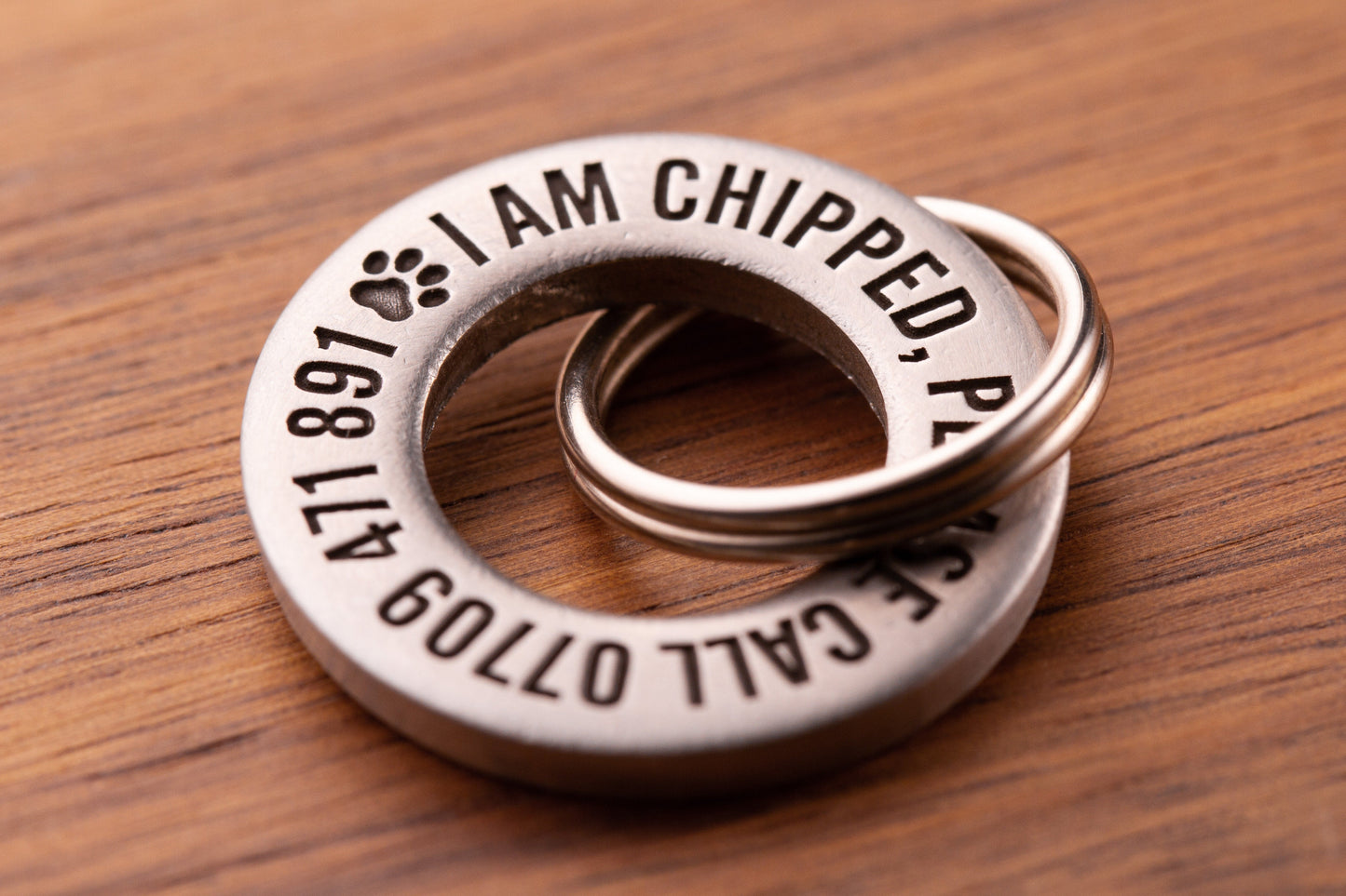 Single Sided Solid Brass or Stainless Steel Dog/Pet ID Tag