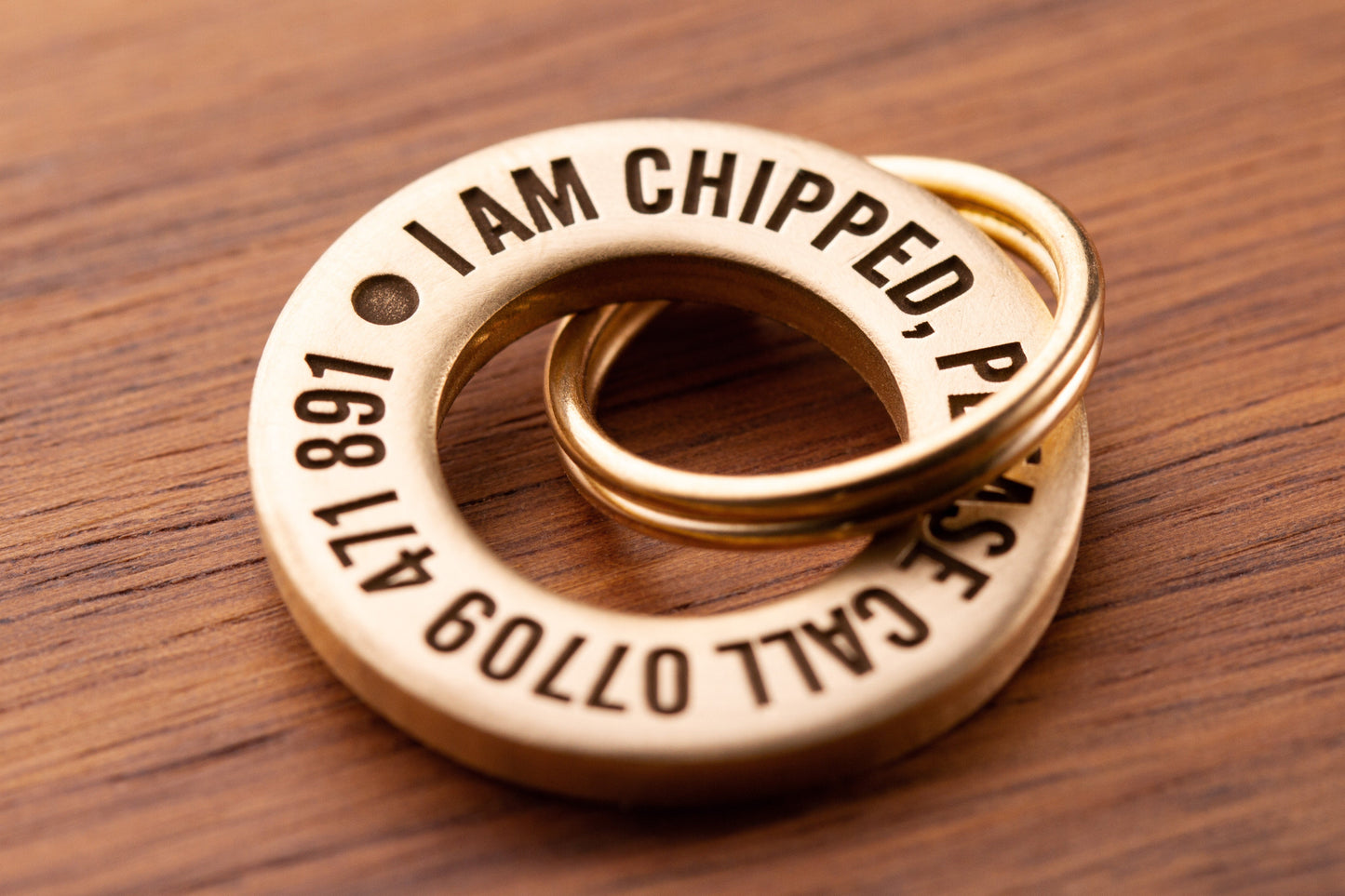 Single Sided Solid Brass or Stainless Steel Dog/Pet ID Tag